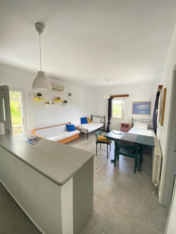 Andros Vineyard House With Sea View Apartman Sineti Kültér fotó