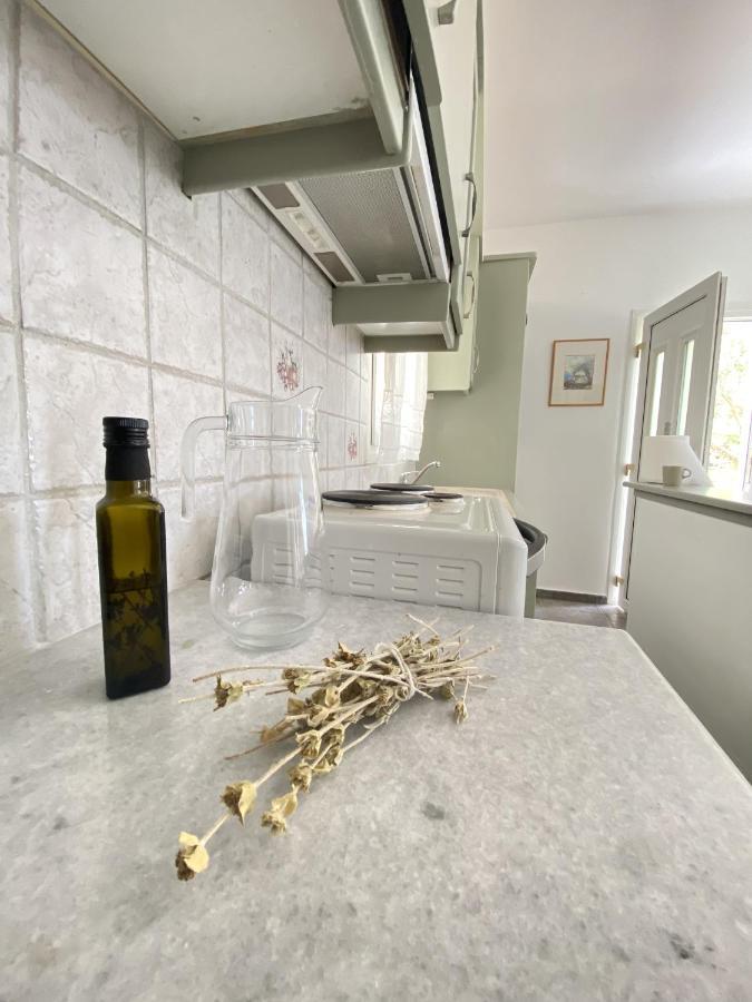 Andros Vineyard House With Sea View Apartman Sineti Kültér fotó