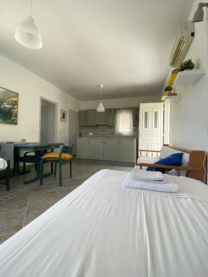 Andros Vineyard House With Sea View Apartman Sineti Kültér fotó